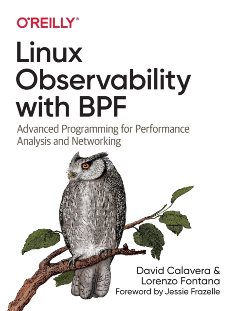 Linux Observability with BPF : Advanced Programming for Performance Analysis and Networking, Paperback / softback Book
