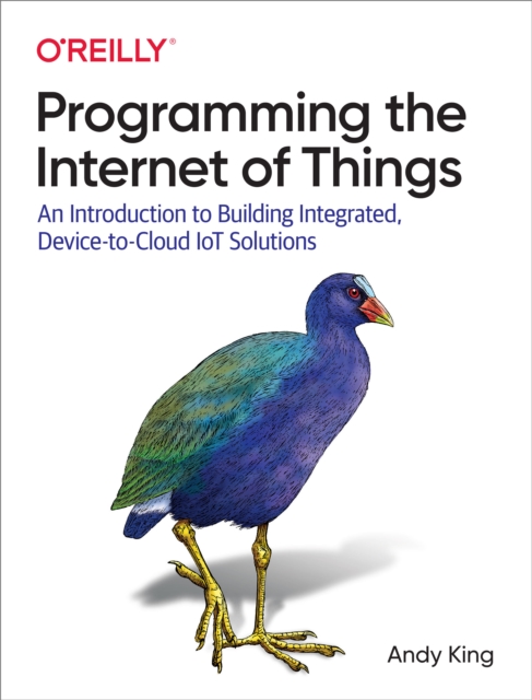 Programming the Internet of Things, EPUB eBook