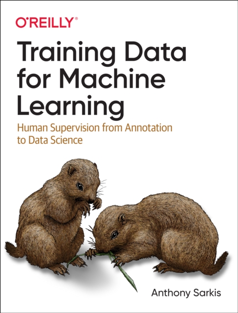 Training Data for Machine Learning, Paperback / softback Book