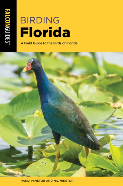 Birding Florida : A Field Guide to the Birds of Florida, Paperback / softback Book