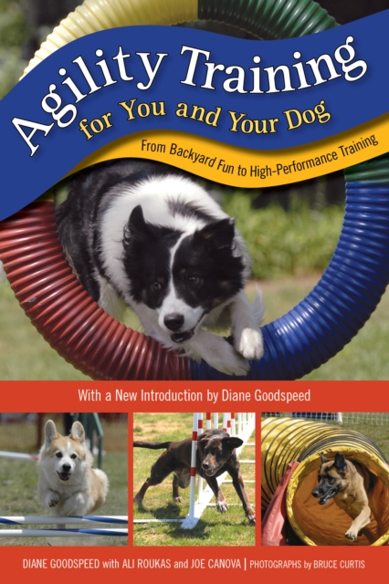 Agility Training for You and Your Dog : From Backyard Fun to High-Performance Training, Paperback / softback Book