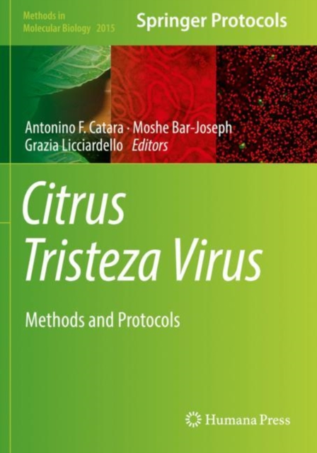 Citrus Tristeza Virus : Methods and Protocols, Paperback / softback Book