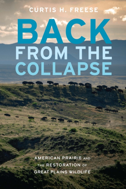Back from the Collapse : American Prairie and the Restoration of Great Plains Wildlife, Paperback / softback Book