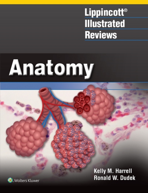 Lippincott(R) Illustrated Reviews: Anatomy, EPUB eBook