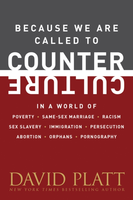 Because We Are Called To Counter Culture, Paperback / softback Book