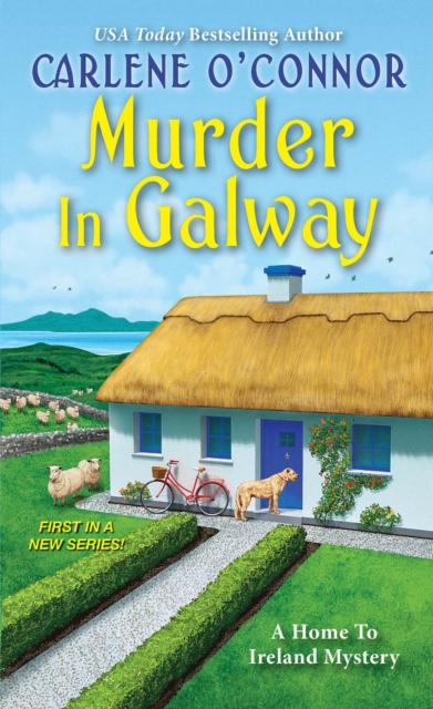 Murder in Galway, Paperback / softback Book