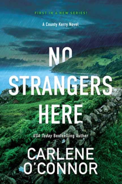 No Strangers Here : A Riveting Dark Irish Mystery, Paperback / softback Book
