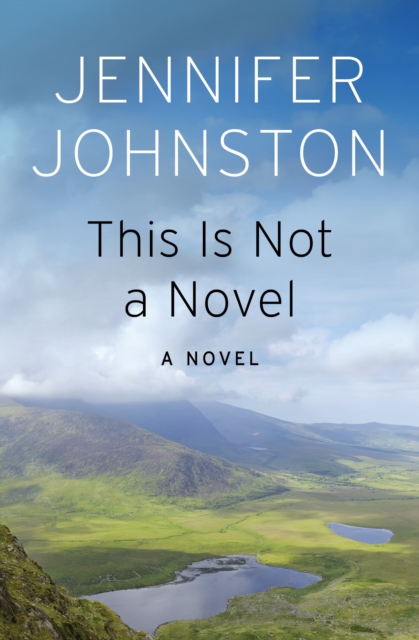 This Is Not a Novel : A Novel, EPUB eBook