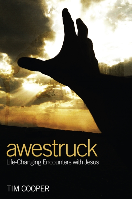 Awestruck : Life-Changing Encounters with Jesus, EPUB eBook