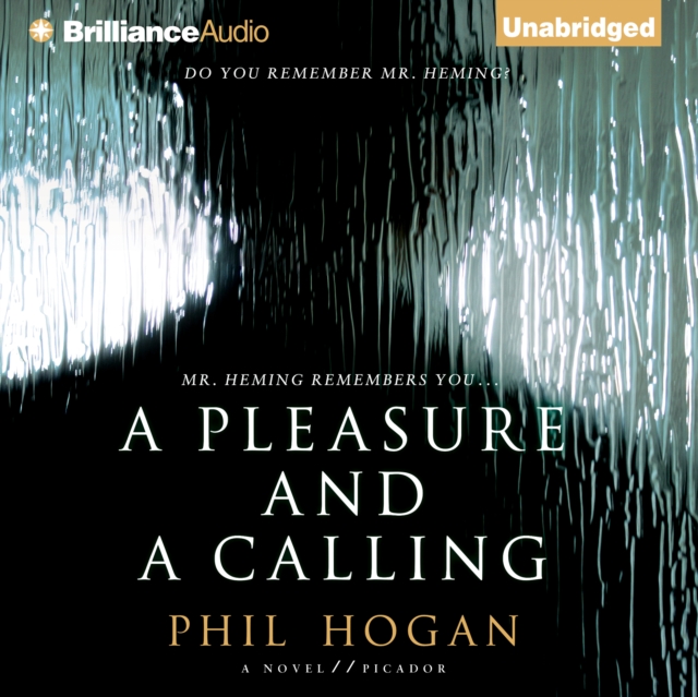 A Pleasure and a Calling : A Novel, eAudiobook MP3 eaudioBook