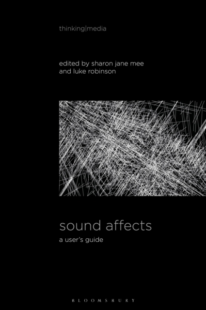 Sound Affects : A User's Guide, Hardback Book