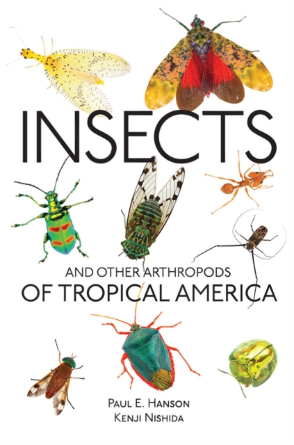 Insects and Other Arthropods of Tropical America, PDF eBook