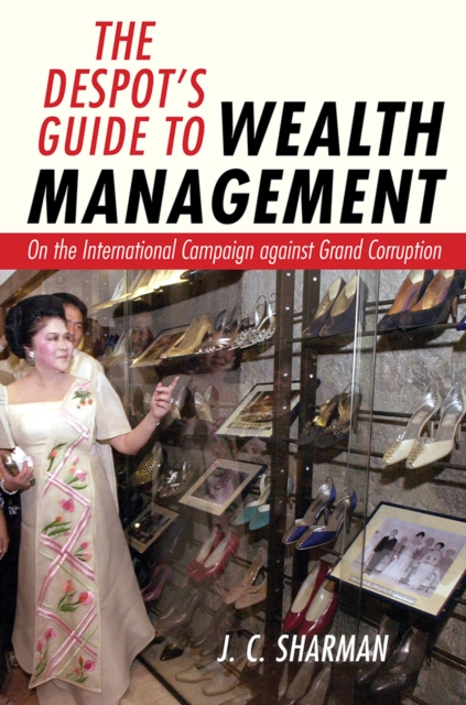 The Despot's Guide to Wealth Management : On the International Campaign against Grand Corruption, PDF eBook