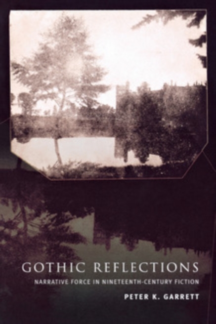 Gothic Reflections : Narrative Force in Nineteenth-Century Fiction, PDF eBook