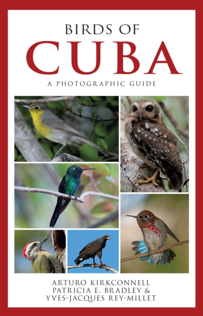 Birds of Cuba : A Photographic Guide, PDF eBook