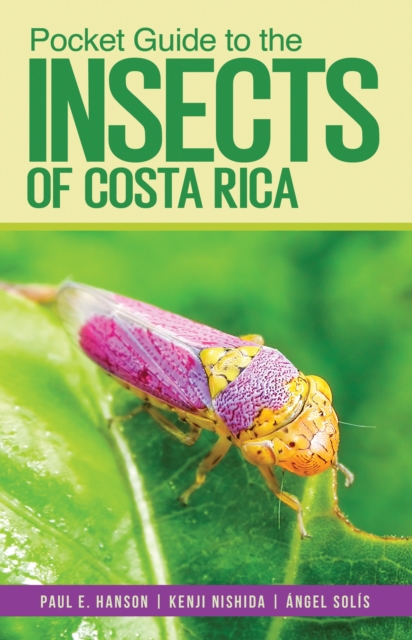 Pocket Guide to the Insects of Costa Rica, Paperback / softback Book