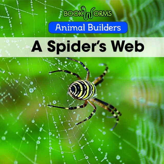A Spider's Web, PDF eBook