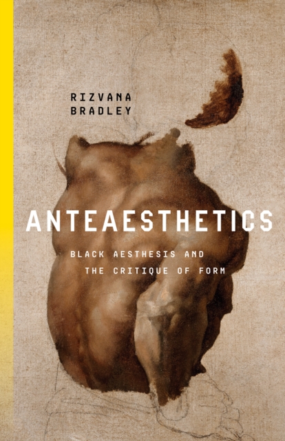 Anteaesthetics : Black Aesthesis and the Critique of Form, Paperback / softback Book