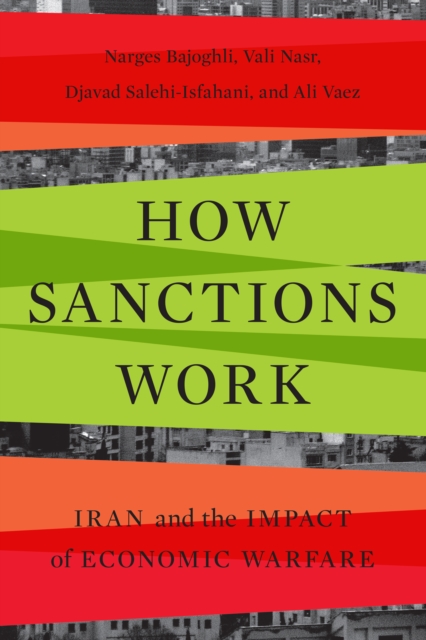 How Sanctions Work : Iran and the Impact of Economic Warfare, Hardback Book