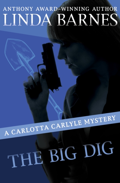 The Big Dig, EPUB eBook