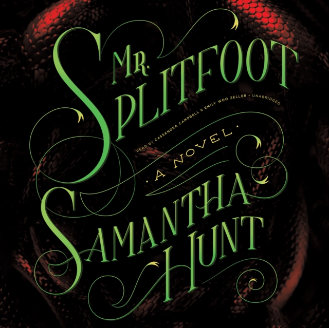 Mr. Splitfoot, eAudiobook MP3 eaudioBook