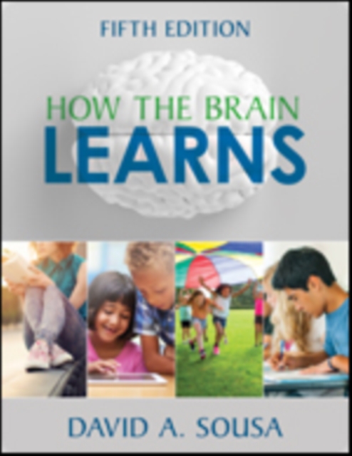 How the Brain Learns, Paperback / softback Book