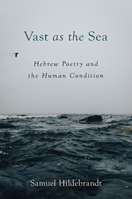 Vast as the Sea : Hebrew Poetry and the Human Condition, Paperback / softback Book