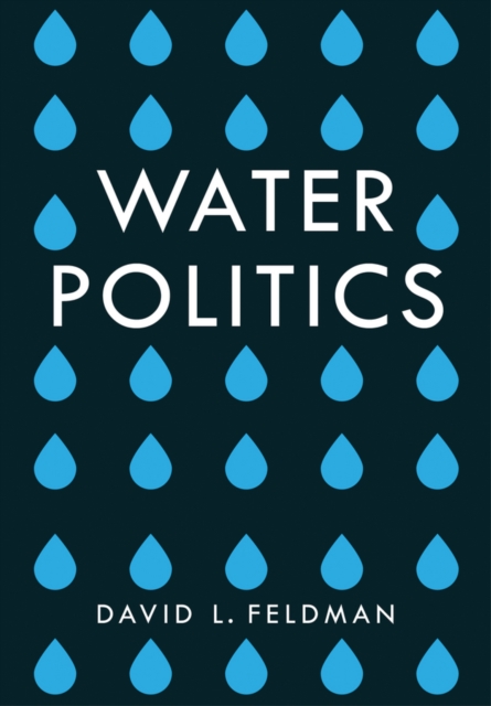 Water Politics : Governing Our Most Precious Resource, Paperback / softback Book