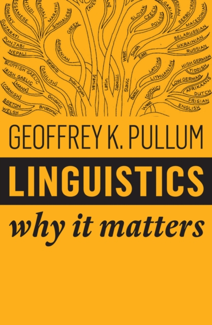 Linguistics : Why It Matters, Hardback Book
