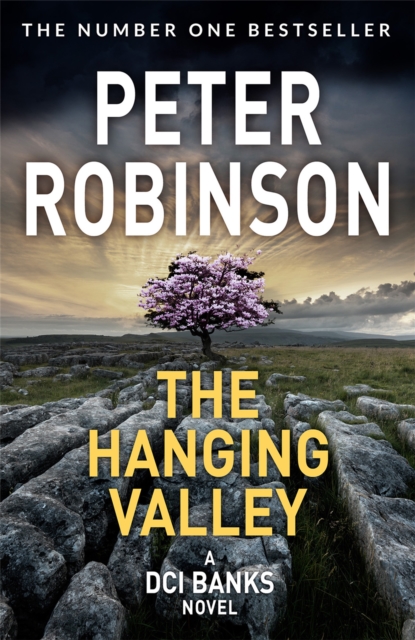 The Hanging Valley : Book 4 in the number one bestselling Inspector Banks series, Paperback / softback Book