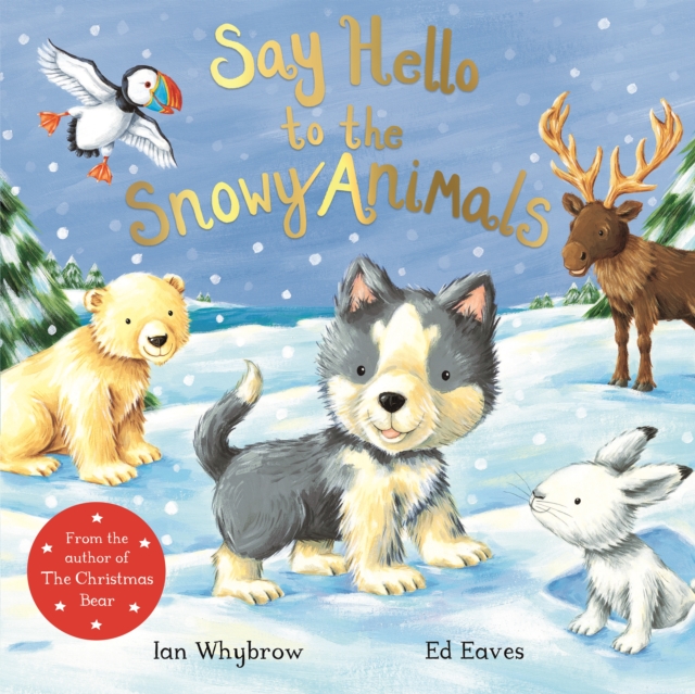 Say Hello to the Snowy Animals, Paperback / softback Book