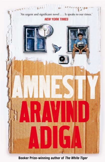 Amnesty, EPUB eBook