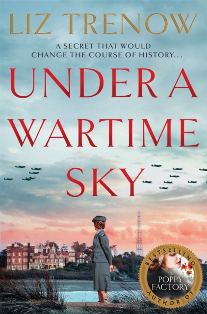 Under a Wartime Sky, Paperback / softback Book