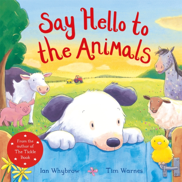 Say Hello to the Animals, Paperback / softback Book