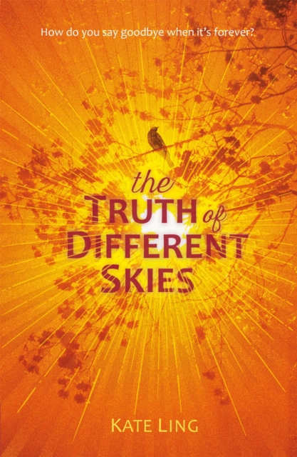 Ventura Saga: The Truth of Different Skies : Book 3, Paperback / softback Book