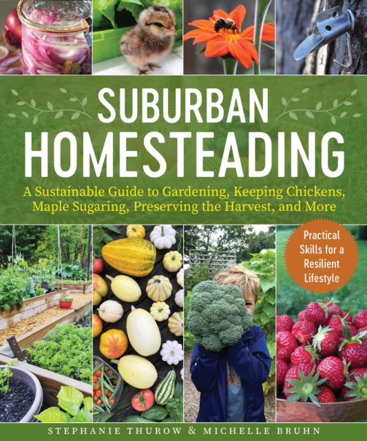 Small-Scale Homesteading : A Sustainable Guide to Gardening, Keeping Chickens, Maple Sugaring, Preserving the Harvest, and More, Paperback / softback Book