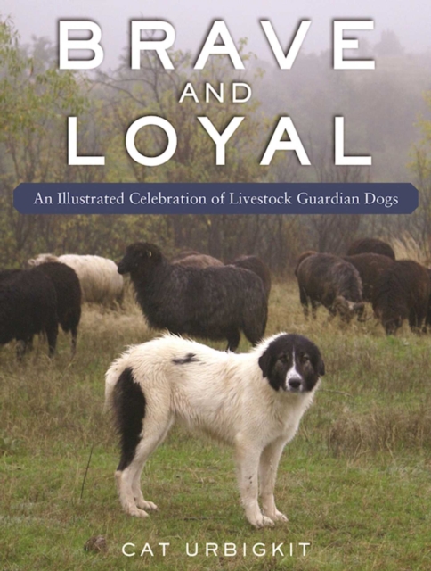 Livestock Guardian Dogs : An Illustrated Celebration, Paperback / softback Book