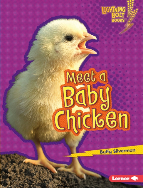 Meet a Baby Chicken, EPUB eBook