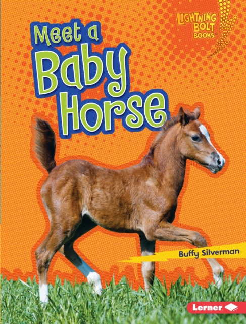 Meet a Baby Horse, EPUB eBook