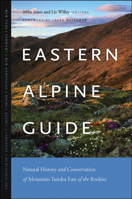 Eastern Alpine Guide : Natural History and Conservation of Mountain Tundra East of the Rockies, Paperback / softback Book