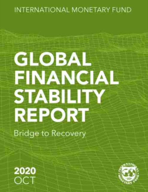 Global financial stability report : bridge to recovery, Paperback / softback Book