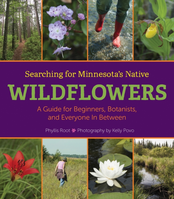 Searching for Minnesota's Native Wildflowers : A Guide for Beginners, Botanists, and Everyone in Between, Hardback Book