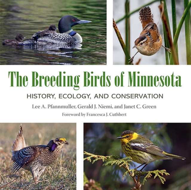 The Breeding Birds of Minnesota : History, Ecology, and Conservation, Hardback Book