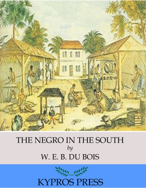 The Negro in the South, EPUB eBook