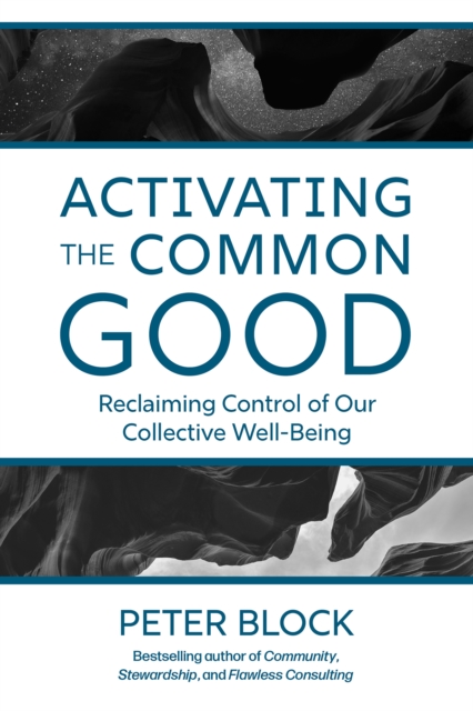 Activating the Common Good : Reclaiming Control of Our Collective Well-Being, EPUB eBook