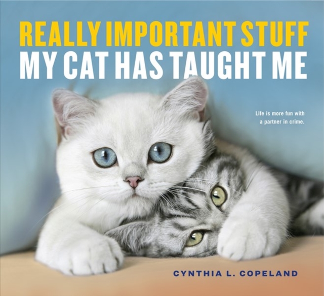 Really Important Stuff My Cat Has Taught Me, Paperback / softback Book