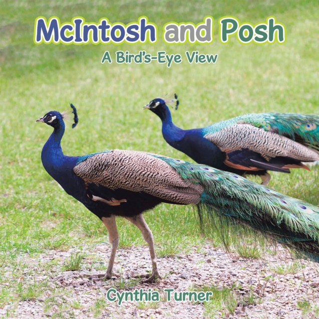 Mcintosh and Posh : A Bird'S-Eye View, EPUB eBook