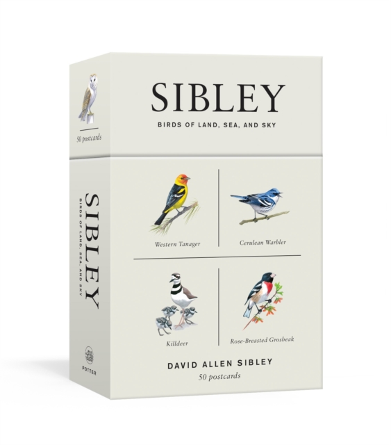 Sibley Birds of Land, Sea, and Sky : 50 Postcards, Postcard book or pack Book