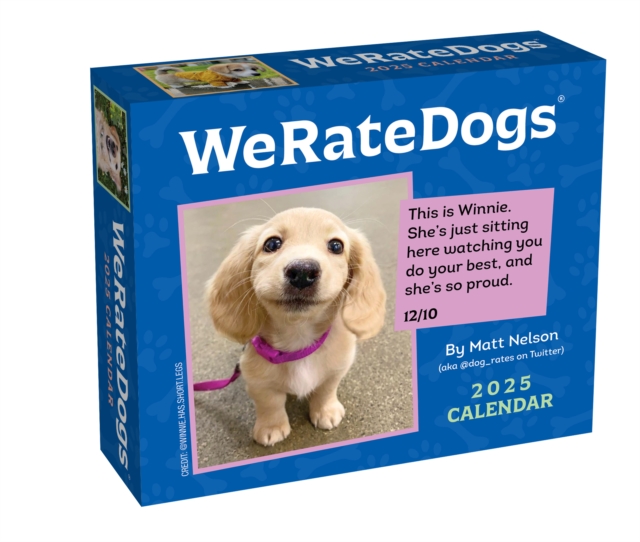WeRateDogs 2025 Day-to-Day Calendar, Calendar Book