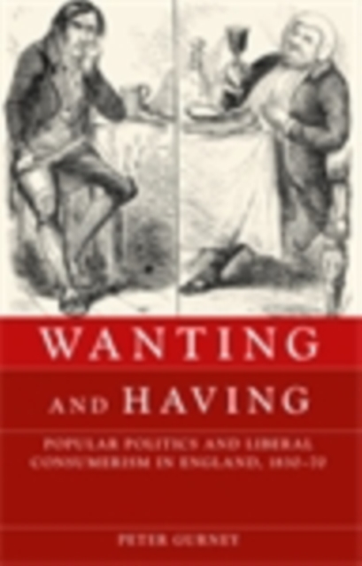 Wanting and having : Popular politics and liberal consumerism in England, 1830-70, EPUB eBook
